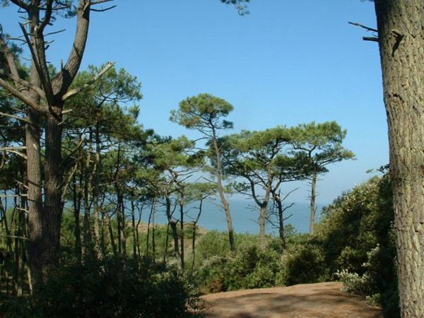Cottages Du Valcoquet Saint-Brévin-les-Pins Buitenkant foto
